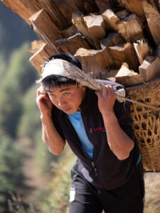 Young Sherpa man carrying firewood home in Solu the lower Everest region