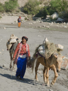 Woman and her horses near the entry to the Shey Phoksundo national park in western Nepal