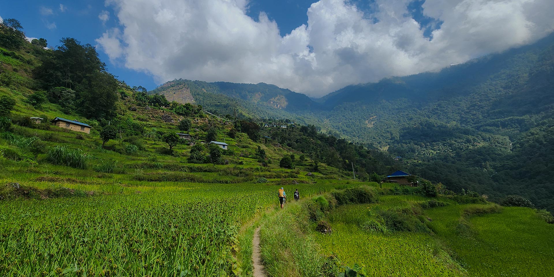 Trekkers in the fields of Simi gaon on the Rolwaling trek in Nepal